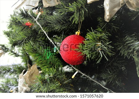 Red ball hanging on the beautiful Christmas tree
