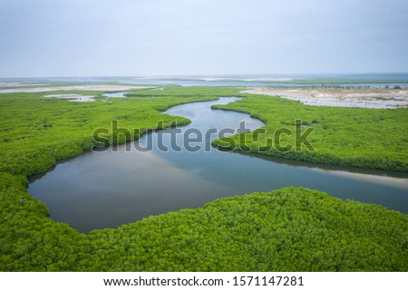 Senegal Mangroves. Aerial view of mangrove forest in the  Saloum Delta National Park, Joal Fadiout, Senegal. Photo made by drone from above. Africa Natural Landscape.