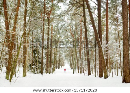 Adorable little girl having fun in beautiful winter forest. Happy child playing in a snow. Winter activities for kids.