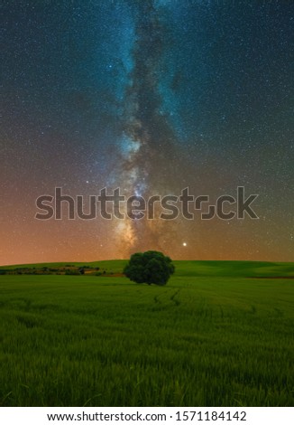 A beautiful Milky Way scene over the field of wheat. This fully green view with a single tree is from Adiyaman / Turkey