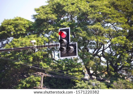 Traffic lights on the big tree background