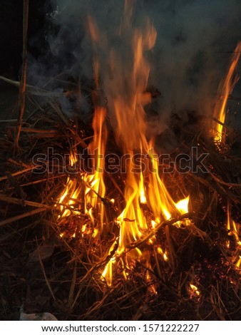 A beautiful picture of fire flames in the night
