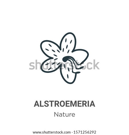Alstroemeria outline vector icon. Thin line black alstroemeria icon, flat vector simple element illustration from editable nature concept isolated on white background Royalty-Free Stock Photo #1571256292