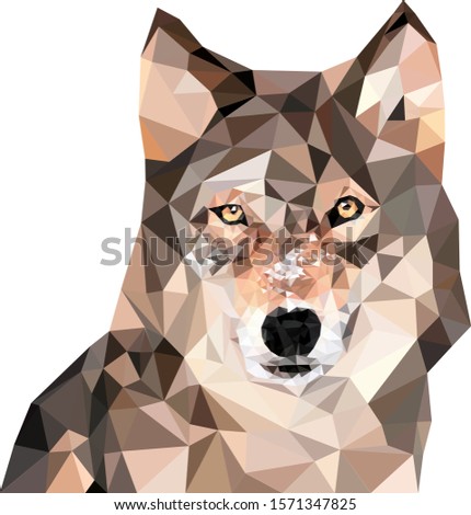 Wolf in low poly style. Vector Stock Illustration. 