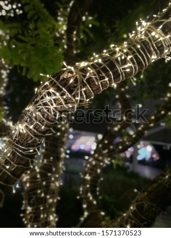 string lights hanging on tree  at night time , decoration LED