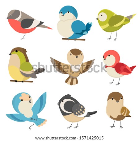 Set of cute little colorful birds isolated on white background. Common house sparrow couple, male and female. Small birds in cute cartoon style. Isolated vector clip art illustration