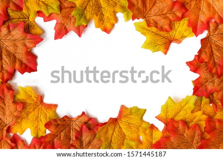 maple leaf and free space for text with white background.