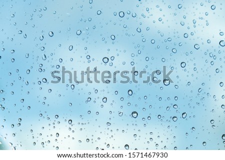 Water drops on a glass window.