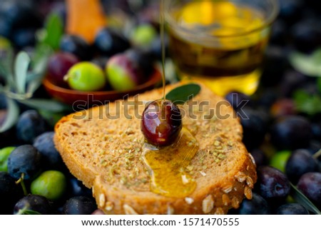 Olive oil and fresh branch of olives, bread. Testing fresh mediterranean extra virgin olive oil. Olives background