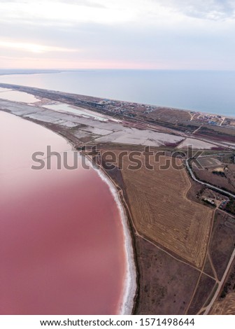 Aerial drone panorama of the salt pink lake. Bright pink water, deep blue sky, summer tourist birds eye view. Geometric abstract farm fields near the pink water, contrast art wallpaper background 