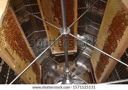 Honey extractor with honey combs. Use of a centrifugal extractor leaves the cells of the comb intact because you need only remove the pure wax cap that indicates finished honey Royalty-Free Stock Photo #1571525131