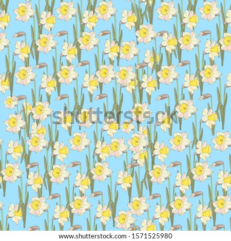 
Seamless pattern with beautiful flowers of daffodil. Holiday floral background for your season design. beautiful garden flowers.