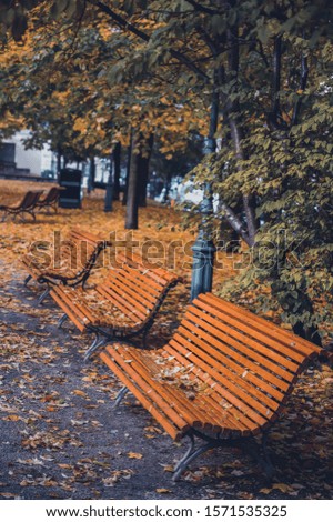 Autumn picture in a park, red bench with yellow birch leaves in the Finland