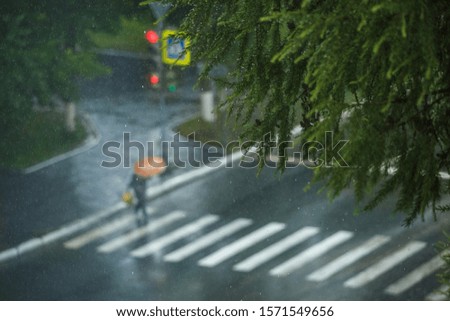 man with umbrella crosses the road in the rain, traffic lights,crosswalk 