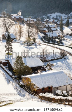 amazing touristic alpine village in winter Grindelwald  Switzerland  Europe