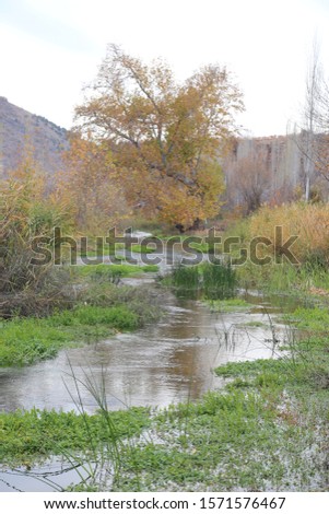 Autumn, river, stream and waterfall scene. 