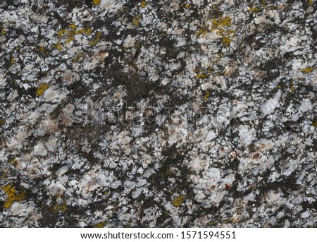 Full frame image of the surface of a black and white granite boulder with small patches of yellow lichen. Seamless multicolored texture of original natural stone for 3d models, backgrounds, design etc