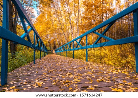 Golden autumn scene with the blue bridge in a park, with leaves, sun shining through the trees and blue sky. Autumn forest landscape. Outdoor autumn concept. Beautiful autumn park
