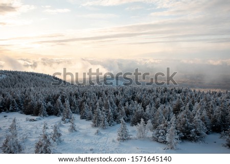 winter mountains forest and lake