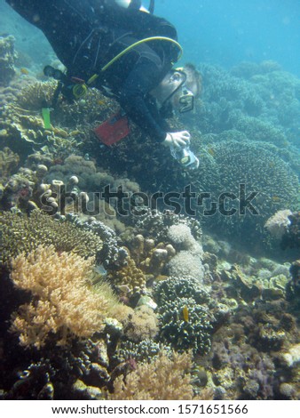 A vertical shot of a scuba diver taking pictures of coral reefs underwater