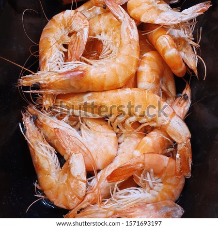 Macro photo seafood shrimps. Stock photo fresh big shrimp product