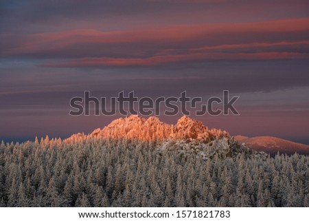 Russia. Ural mountains. Taganai Range. Taganay National Park. Snow covered trees under a colored sky at sunset. In the background stands a mountain illuminated by the rays of the setting sun.