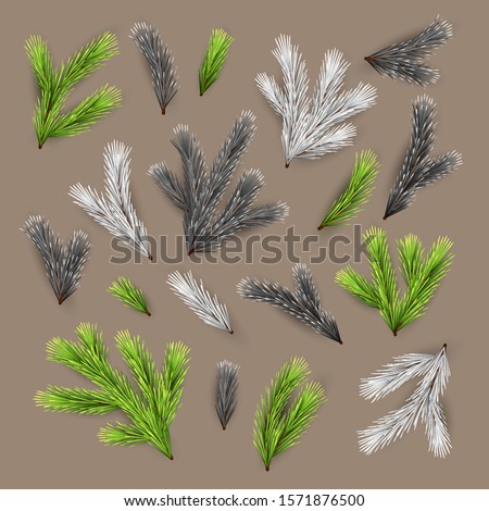 Set of green, black and white Christmas tree branches. Vector fir branches in different colors. Decorative design elements