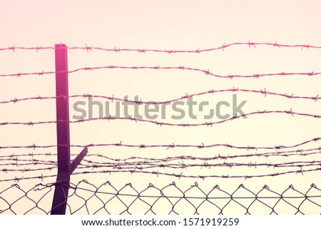 Freedom concept. Copy space of iron barbed wire fence on sunset sky abstract background.