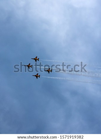 Black Eagles formation Flying in the Sky      