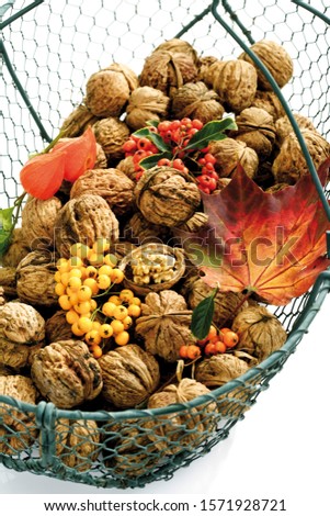 Walnuts and fire thorn in a wire basket
