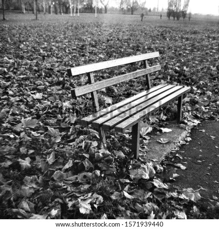 The empty bench in autumn - This black and white photo is NOT sharp due to camera characteristic. Taken on film with a medium format camera