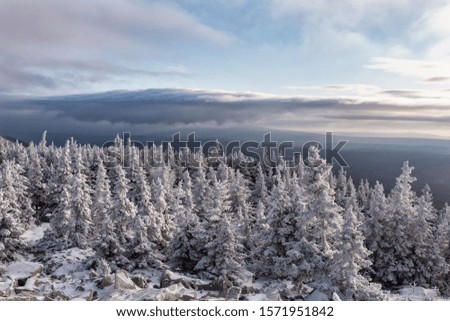 winter day on top of the mountain, beautiful clouds, winter open spaces, snow-white trees