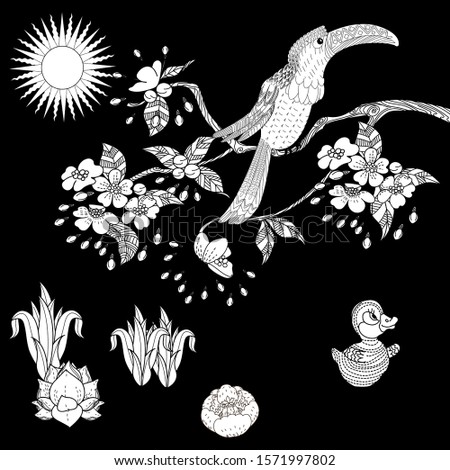 Birds hand drawn in vintage style with flowers. Duckd and blossom branches of cherry. Linear engraved art. Bird concept. Romantic concept. Vector design