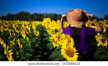 Sunflower field with young women and tourists