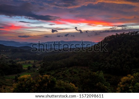 Wallpaper abstract of nature blurred, atmosphere surrounded by colorful twilight sky in the evening, surrounded by trees, the beauty of nature according to ecological systems