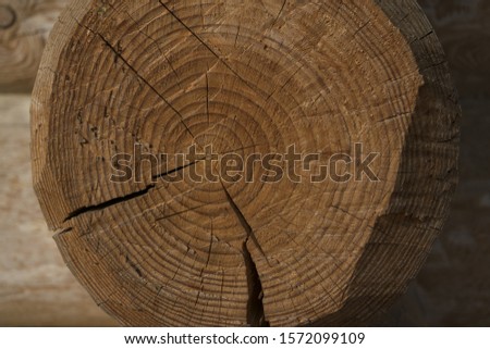 Element of a wooden log house. Log.