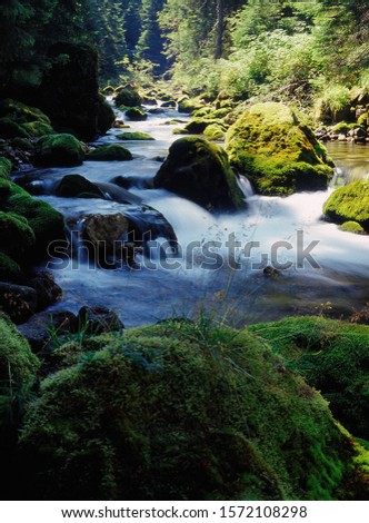 Mountain stream, Koscieliska Valley, Tatry National Park, Poland