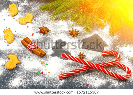 Christmas composition. Flour silhouette of cookies on dark background among Christmas tree branches, cones, star anise, cinnamon and candy cane. Christmas, winter holidays, new year concept.