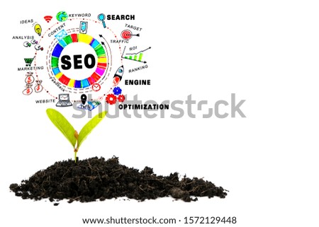 Searching Engine Optimizing SEO Browsing Concept. A pile of black soil with seedlings sprouting and forming a leaf. isolate white background. 