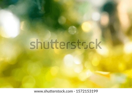 blur background of green and yellow 