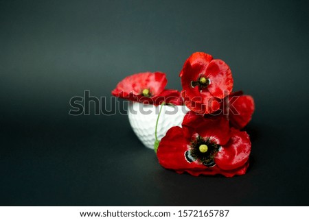 Photo of a bouquet of poppy flowers in a white vase on a dark background
