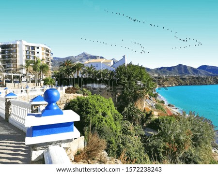 birds migrating, photography near of  the balcony of Europe, Mediterranean Sea, Nerja, Málaga, Spain, one of the white villages of Andalusia, Spain, holidays,  famous place, 