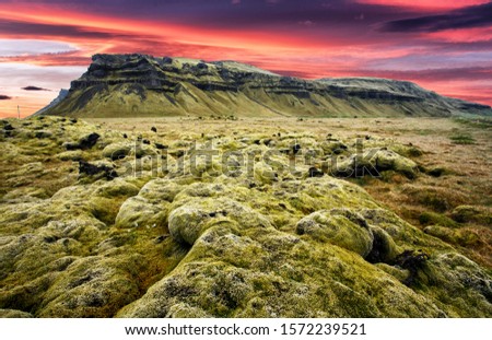 Impressive nature of Iceland. Fantastic Scenery of Icelandic Moss lava field and majestic mount, under sunlight during sunset.  Amazing Icelandic counryscape. Picture of wild area 
