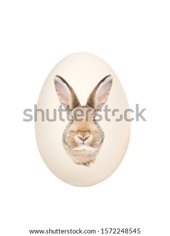 Easter egg with the image of a brown rabbit isolated on a white background.