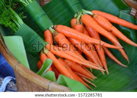 A bunch of healthy and fresh carrots