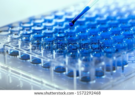Scientist holding a 96 well plate with samples for biological analysis / Researcher pipetting samples of liquids in microplate for biomedical research Royalty-Free Stock Photo #1572292468
