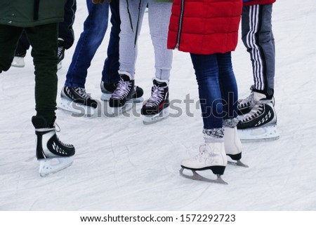 Several people in skates are standing on the ice rink                       