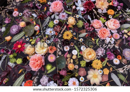 Flowers candles float on the bath, gardens floral, top view Royalty-Free Stock Photo #1572325306