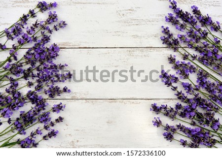 White wooden  frame with lavender  