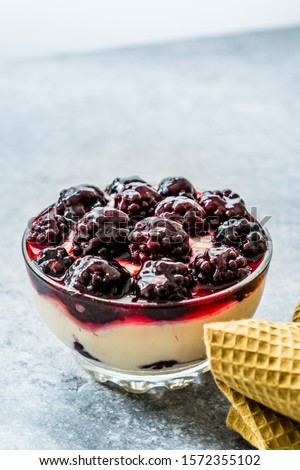 Kefir Parfait with Blackberry and Yogurt / Yoghurt.